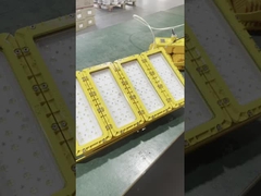 WF2 IP66 防水型 凸型 ガラスシェード 爆発防止型 LED ライト