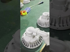 防爆灯 IP66 50W 200W 危険エリア照明