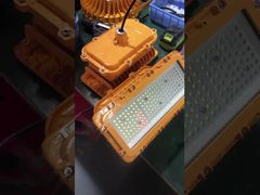 AC85-265V IP66 防爆照明装置 エネルギー効率