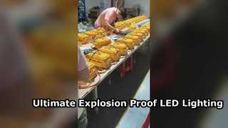 ATEX 承認 IP65 危険区域用強化ガラス付き防水 LED 投光器