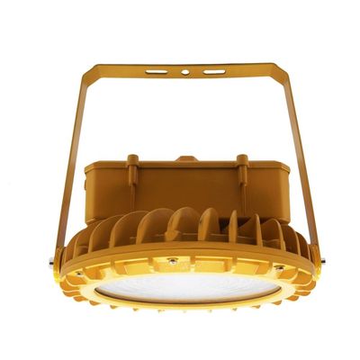 30W 天井式 IP66 防爆照明