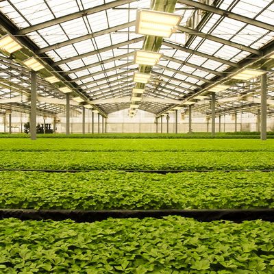 100W フルスペクトル LED 成長光 660nm レッドライト 花や果樹植物ランプ