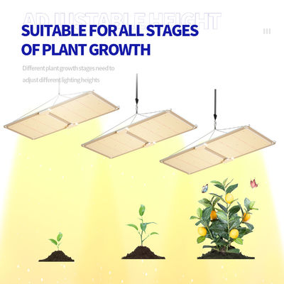 200WフルスペクトルディムブルLED成長光 T5 植物の成長のための温室照明システム