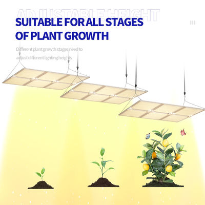 調光機能付き600WフルスペクトルLED植物育成ライト、最適な植物の成長のために