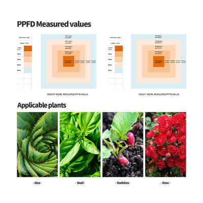 調光機能付き600WフルスペクトルLED植物育成ライト、最適な植物の成長のために