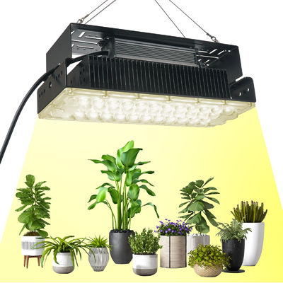 SMD3030 LED搭載 100WフルスペクトルLED植物育成ライト、屋内植物と庭園用