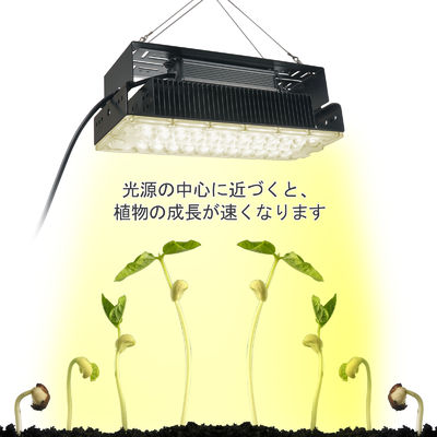 SMD3030 LED搭載 100WフルスペクトルLED植物育成ライト、屋内植物と庭園用