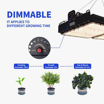 PPFD測定とフルスペクトルを備えた500W LED植物育成ライト（屋内植物用）