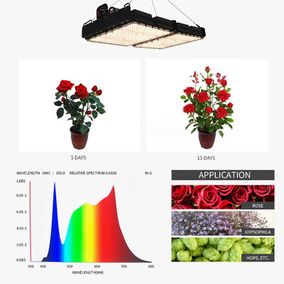 PPFD測定とフルスペクトルを備えた500W LED植物育成ライト（屋内植物用）