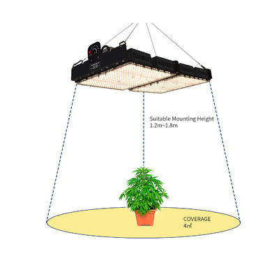 PPFD測定とフルスペクトルを備えた500W LED植物育成ライト（屋内植物用）