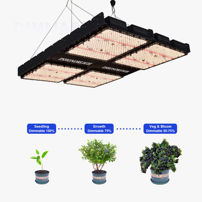 1000W フルスペクトル ディムブル LED 室内植物の成長ライト