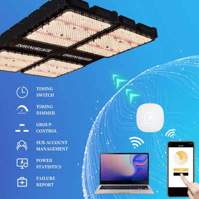 1000W フルスペクトル ディムブル LED 室内植物の成長ライト