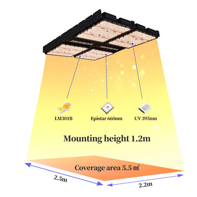 1000W フルスペクトル ディムブル LED 室内植物の成長ライト