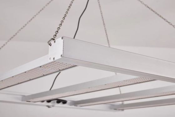 折りたたむ 600W フルスペクトル LED 商業用植物の栽培のための成長光