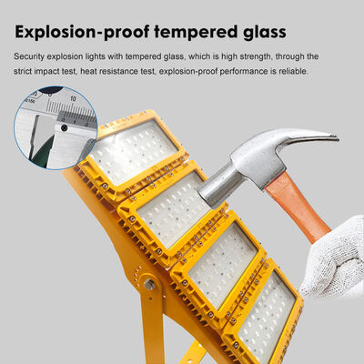 300WLED防爆洪水灯 60° フレンズマウント 船舶スカート 中性白 ATEX IIB T6 IP65 RFEPL8280 照明