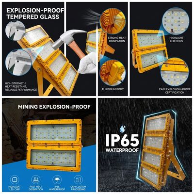 Multi-Mount 600W LED Explosion Proof Flood Light 6-Way Bracket LUMILEDS LM-80 ATEX IIb T6 IP65 Ceiling Boom Wall Fixture