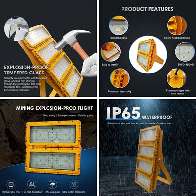 Zone 1 Zone 2 300W LED Explosion Proof Flood Light LUMILEDS LM-80 ATEX IIb T6 Gas Dust IP65 Hazardous Area Fixture
