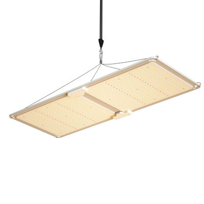 品質  200w LED T5 Grow Lights Greenhouse Lighting System 工場