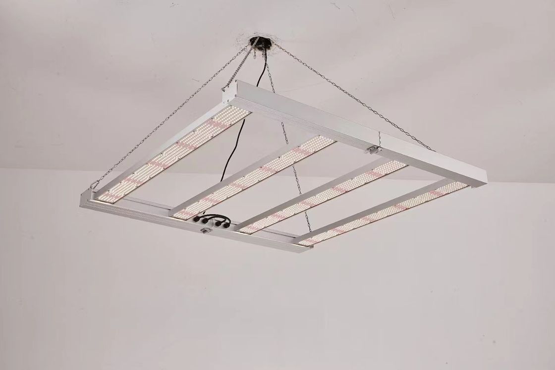 折りたたむ 4T LED 成長ライト 600W 800W 商業用