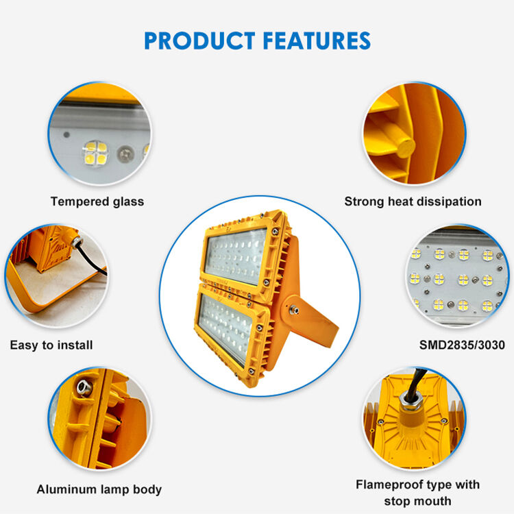 600W LED Explosion Proof Flood Light 60° Offshore FPSO Platform ATEX IIB T6 IP65 RFEPL8280 Lighting