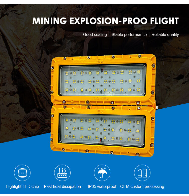 600W LED 防爆 防洪灯 60° ブームポール ハイ マストヤード ATEX IIB T6 IP65 RFEPL8280 照明