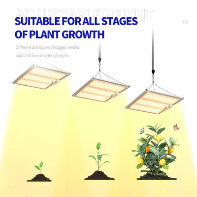 600w HPS 4x4 成長ライト 植物のランプ 咲きや果実を促す
