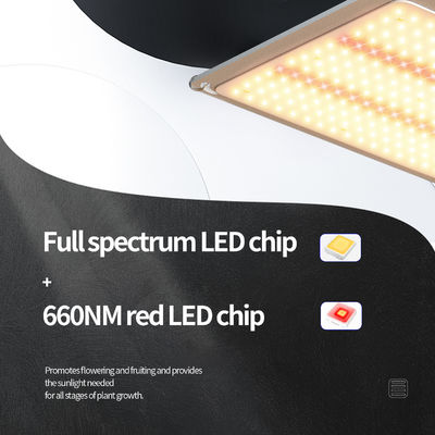 200w LED T5 成長ライト 温室照明システム