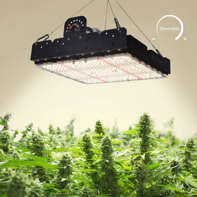 フルスペクトルT5 LED 室内植物用成長ライト 250w