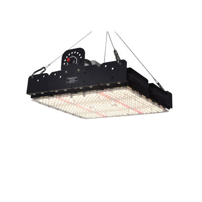 フルスペクトルT5 LED 室内植物用成長ライト 250w