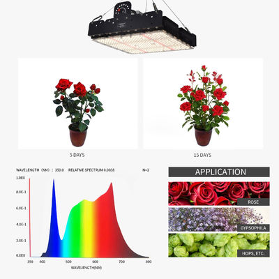 フルスペクトルT5 LED 室内植物用成長ライト 250w