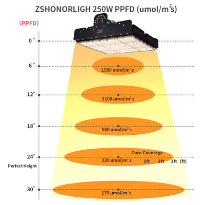 フルスペクトルT5 LED 室内植物用成長ライト 250w
