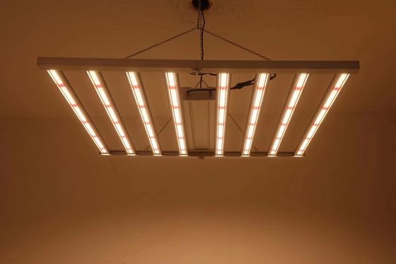 折りたたむ 8T 温室成長ライト 800W 1000w Hps
