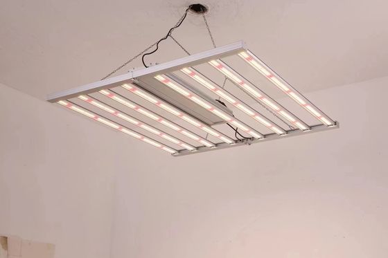 折りたたむ 8T 温室成長ライト 800W 1000w Hps