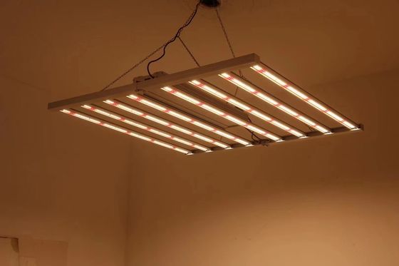 折りたたむ 8T 温室成長ライト 800W 1000w Hps