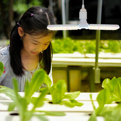 コンパクト LED 野菜用 成長灯 20W 40W IP68 防水