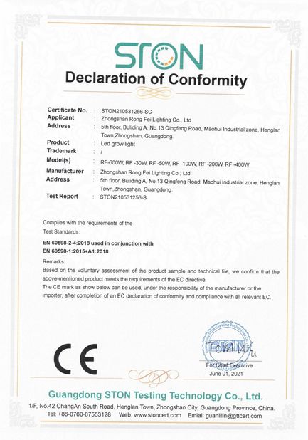 中国 Zhongshan Rong Fei Lighting Co., Ltd 認証