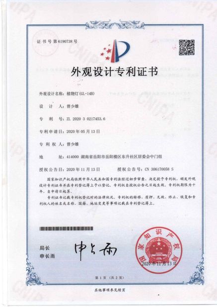 中国 Zhongshan Rong Fei Lighting Co., Ltd 認証